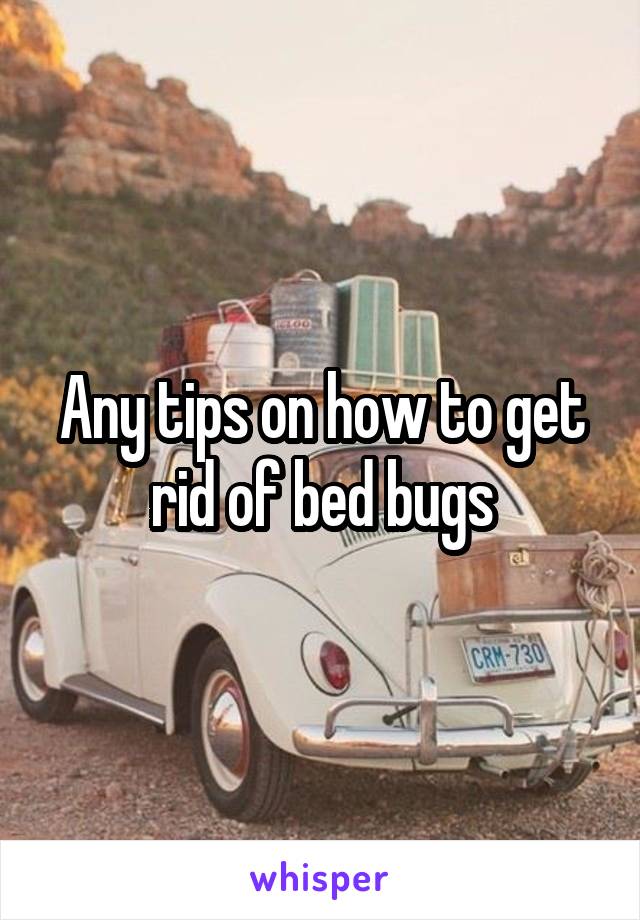 Any tips on how to get rid of bed bugs