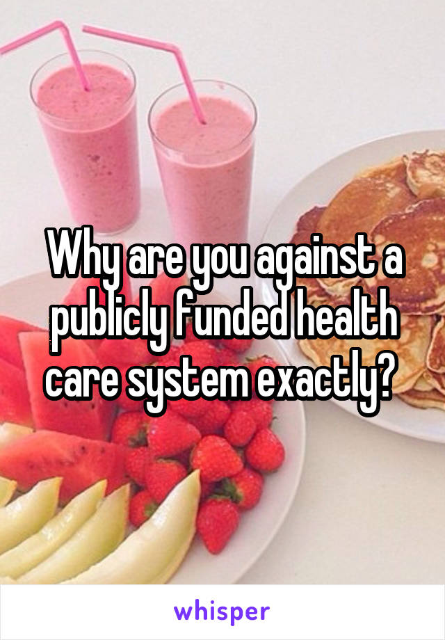 Why are you against a publicly funded health care system exactly? 