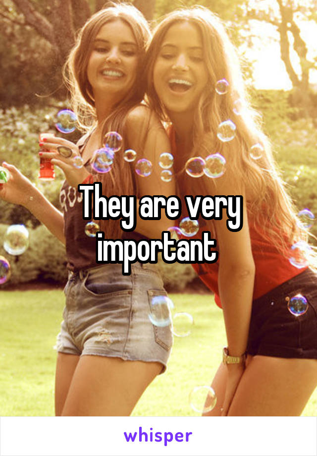 They are very important 