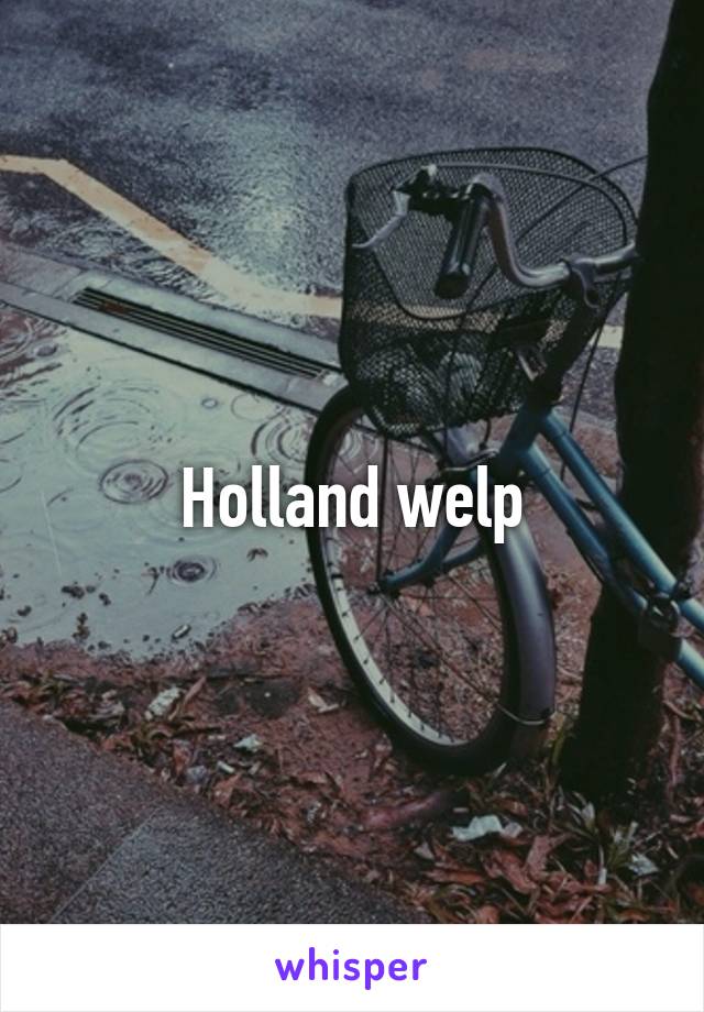 Holland welp