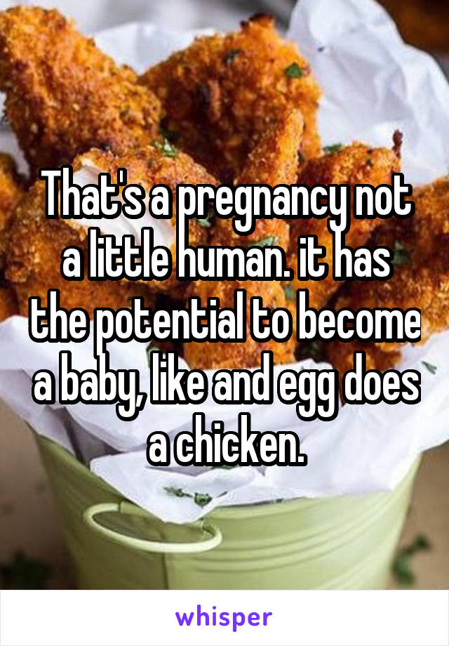 That's a pregnancy not a little human. it has the potential to become a baby, like and egg does a chicken.