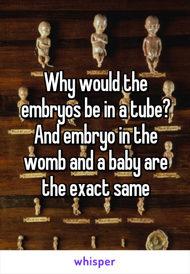 Why would the embryos be in a tube? And embryo in the womb and a baby are the exact same