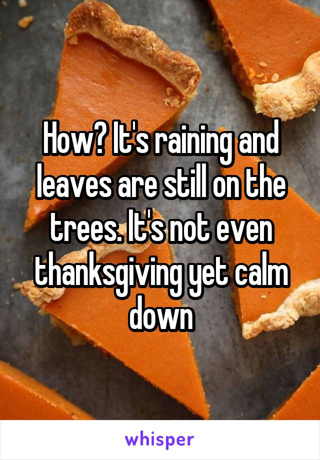 How? It's raining and leaves are still on the trees. It's not even thanksgiving yet calm down