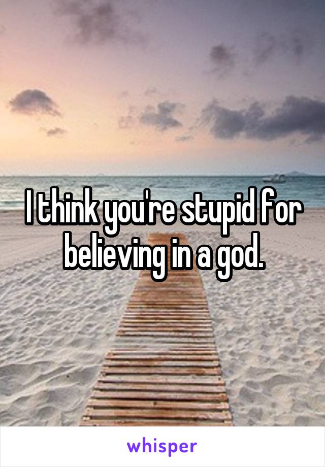 I think you're stupid for believing in a god.