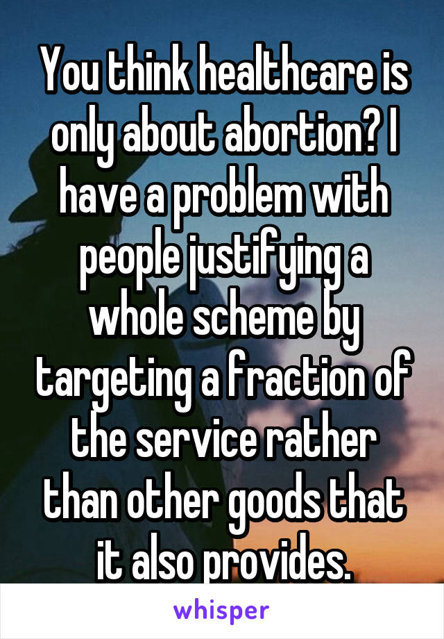 You think healthcare is only about abortion? I have a problem with people justifying a whole scheme by targeting a fraction of the service rather than other goods that it also provides.