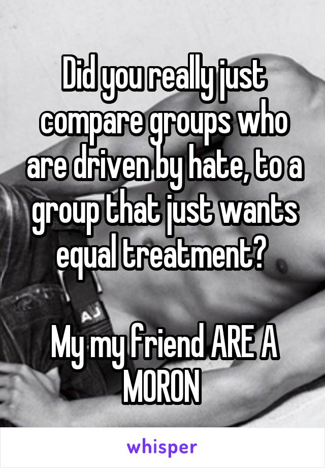 Did you really just compare groups who are driven by hate, to a group that just wants equal treatment? 

My my friend ARE A MORON 