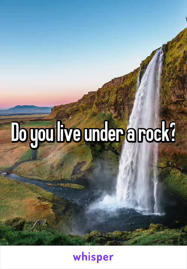 Do you live under a rock?