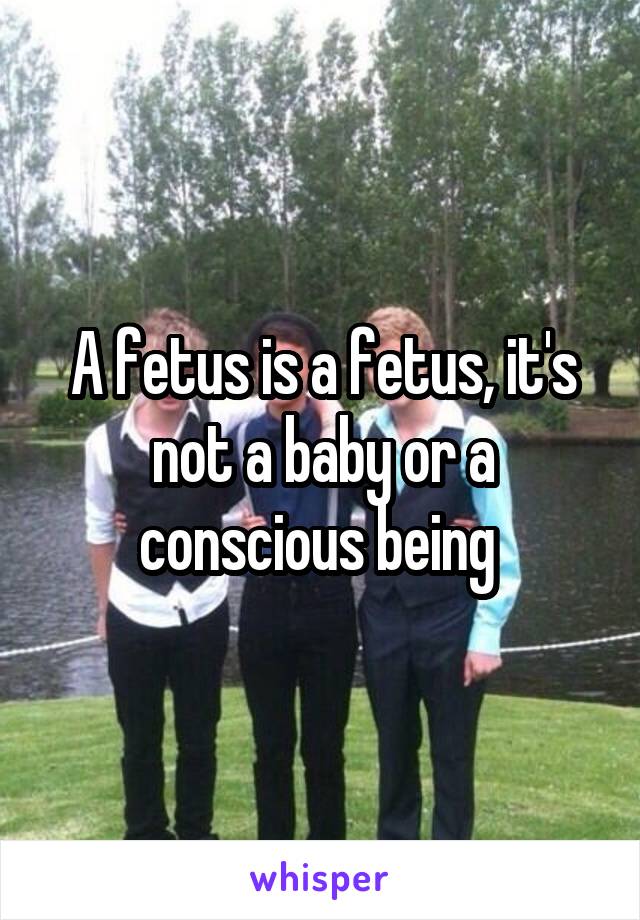 A fetus is a fetus, it's not a baby or a conscious being 