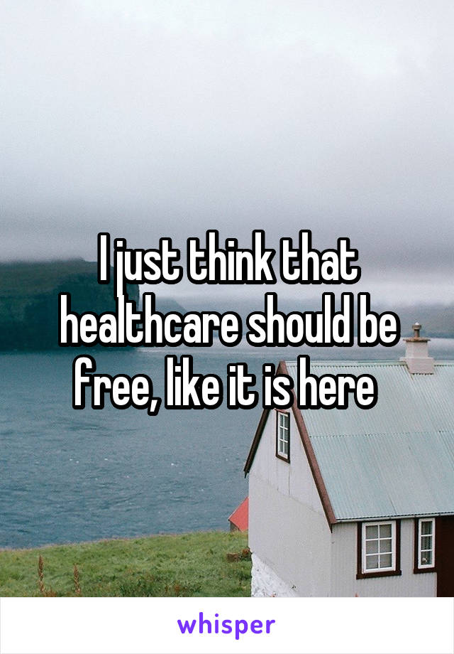 I just think that healthcare should be free, like it is here 