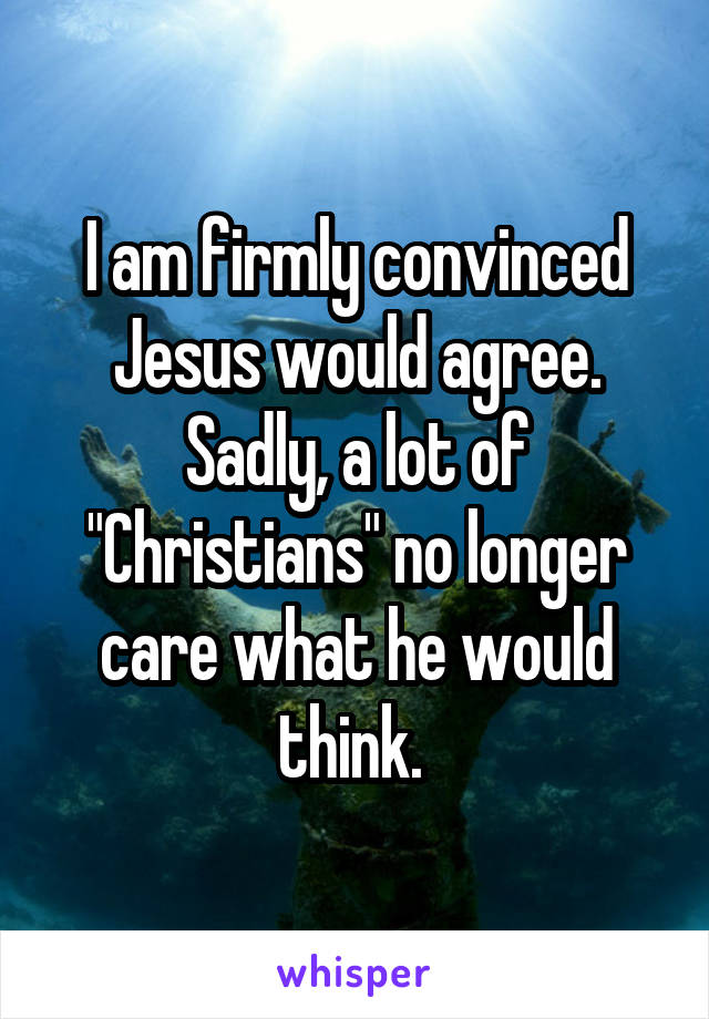 I am firmly convinced Jesus would agree. Sadly, a lot of "Christians" no longer care what he would think. 