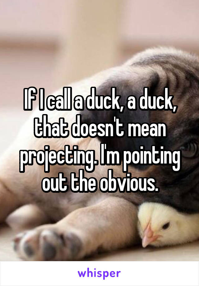 If I call a duck, a duck, that doesn't mean projecting. I'm pointing out the obvious.