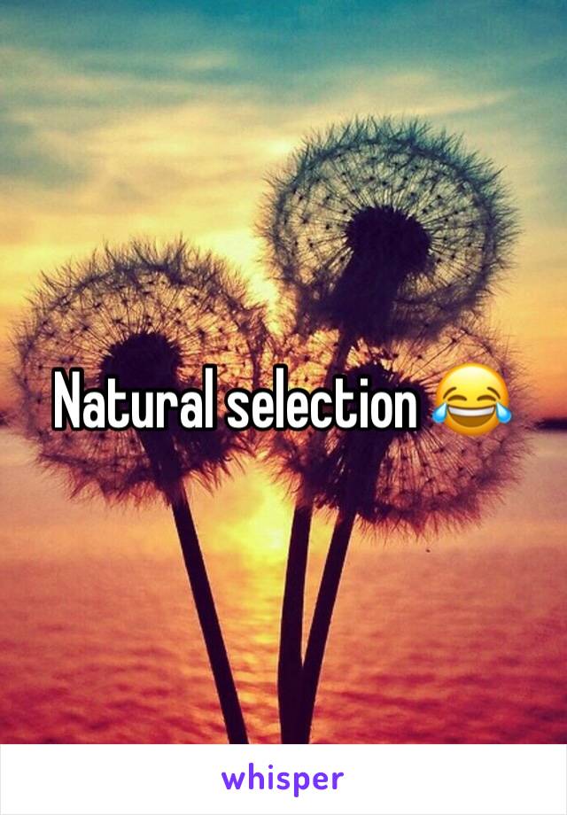 Natural selection 😂