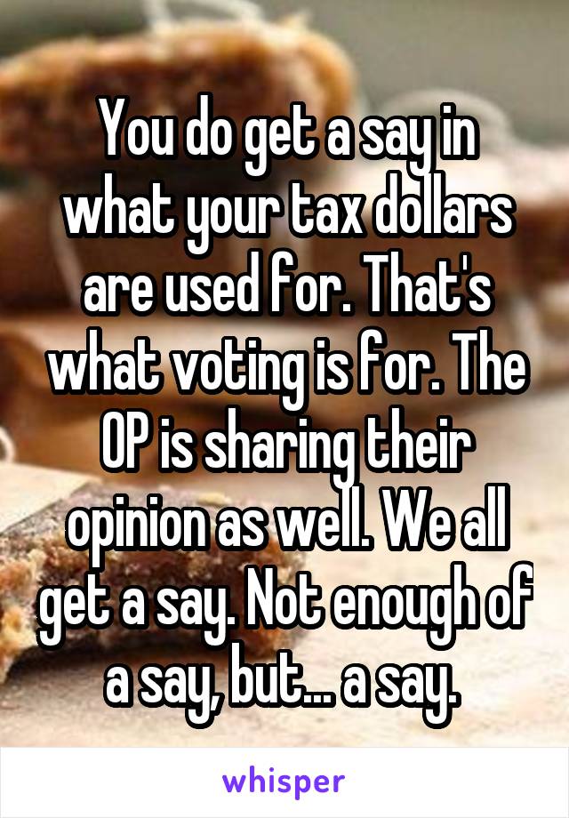 You do get a say in what your tax dollars are used for. That's what voting is for. The OP is sharing their opinion as well. We all get a say. Not enough of a say, but... a say. 