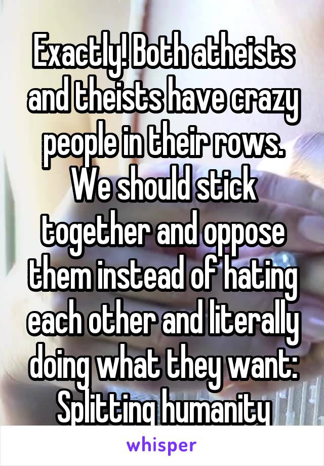 Exactly! Both atheists and theists have crazy people in their rows. We should stick together and oppose them instead of hating each other and literally doing what they want: Splitting humanity