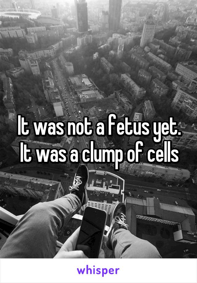 It was not a fetus yet. It was a clump of cells