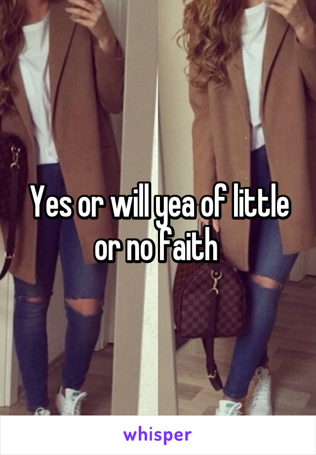 Yes or will yea of little or no faith 