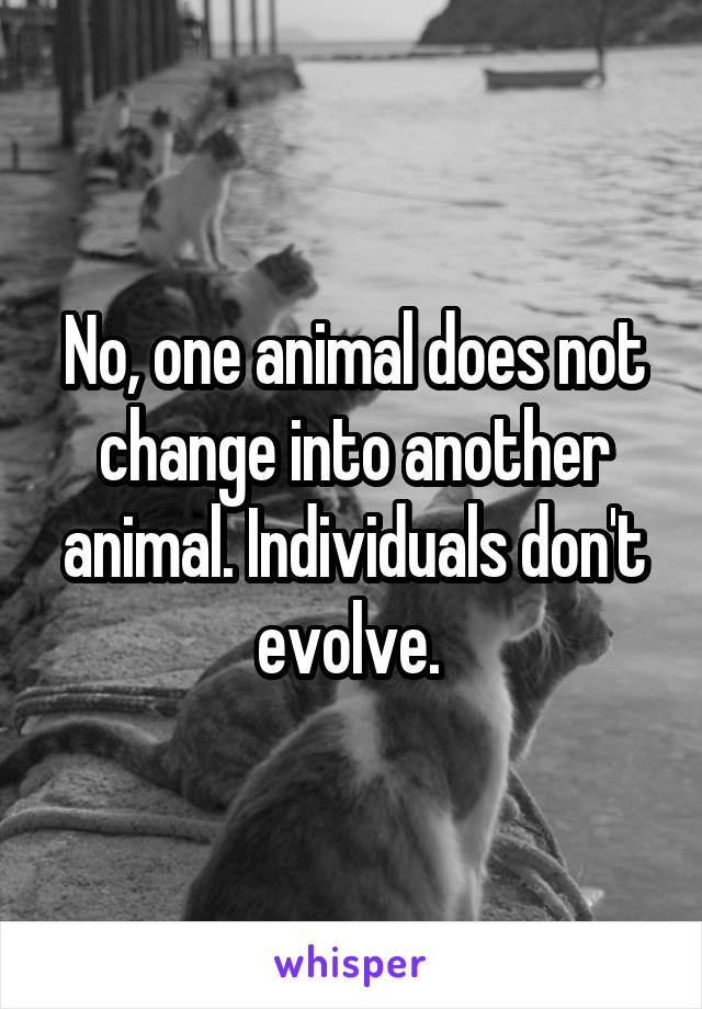 No, one animal does not change into another animal. Individuals don't evolve. 