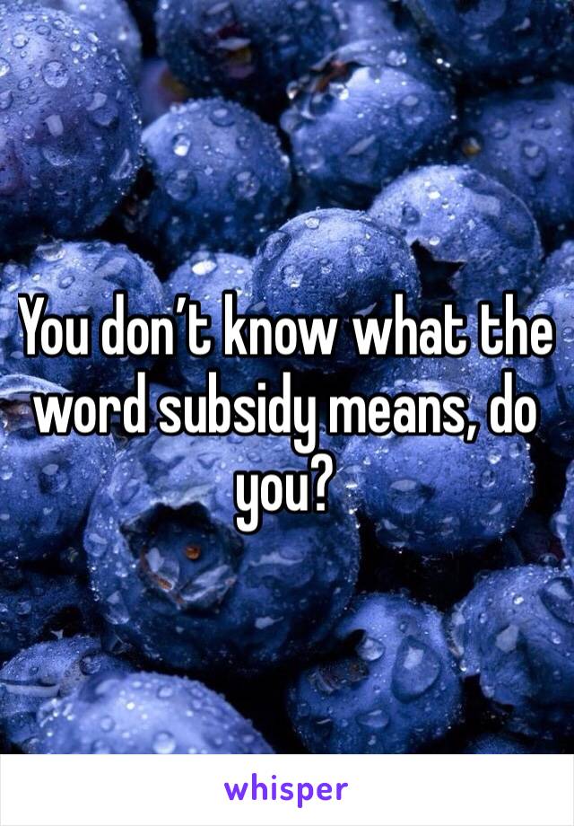 You don’t know what the word subsidy means, do you?