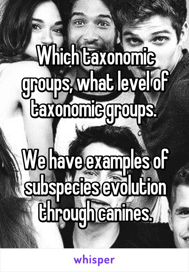 Which taxonomic groups, what level of taxonomic groups. 

We have examples of subspecies evolution through canines.