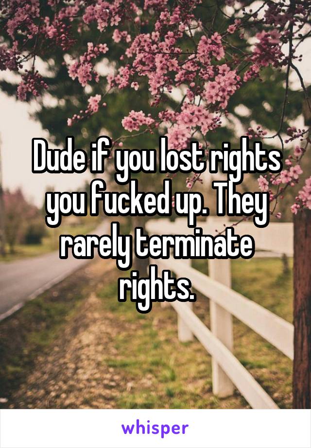 Dude if you lost rights you fucked up. They rarely terminate rights.