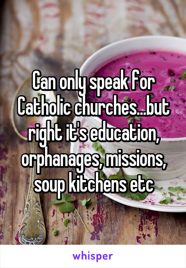 Can only speak for Catholic churches...but right it's education, orphanages, missions, soup kitchens etc