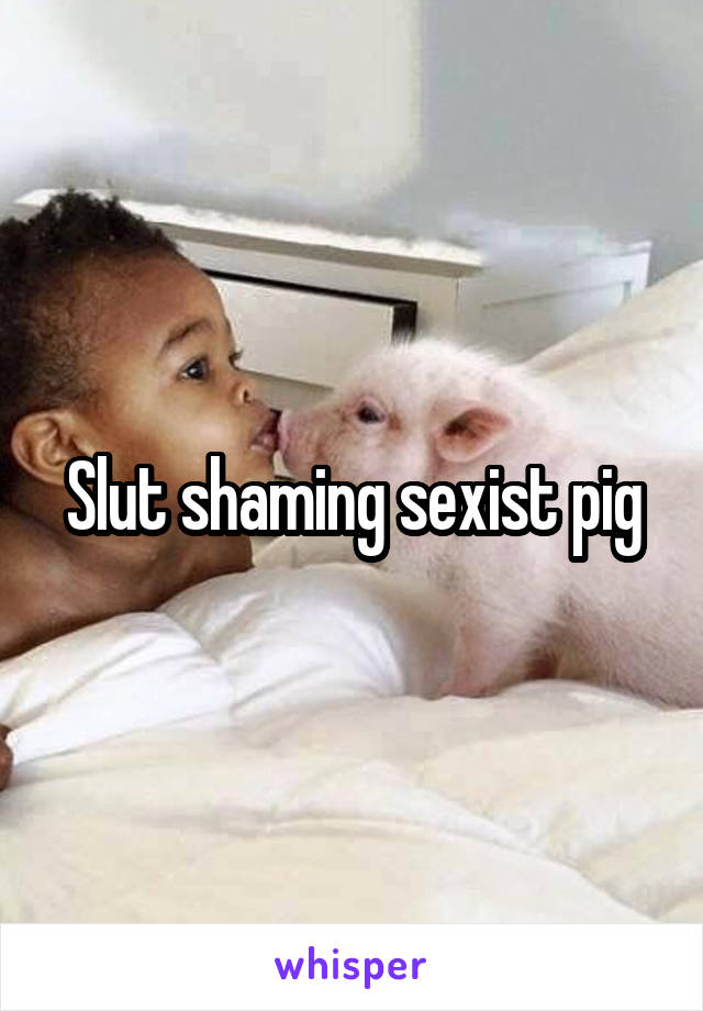 Slut shaming sexist pig