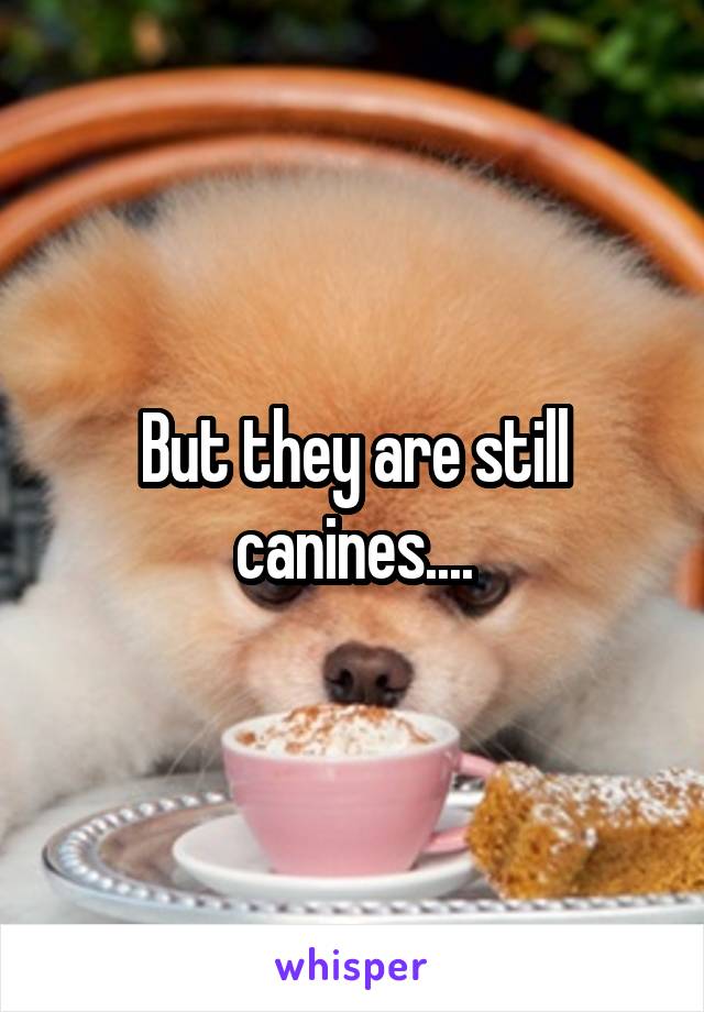 But they are still canines....