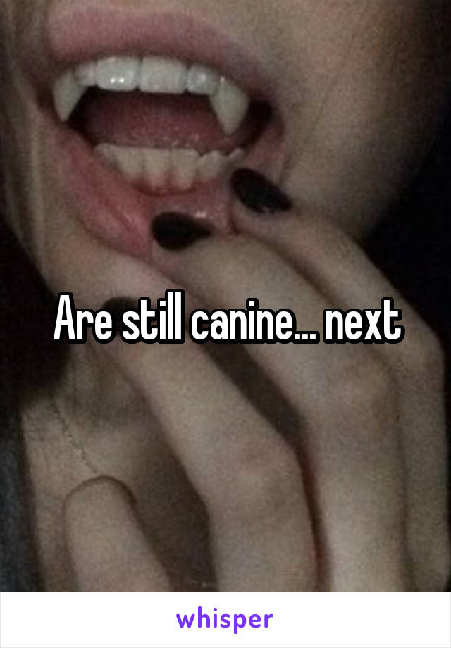 Are still canine... next