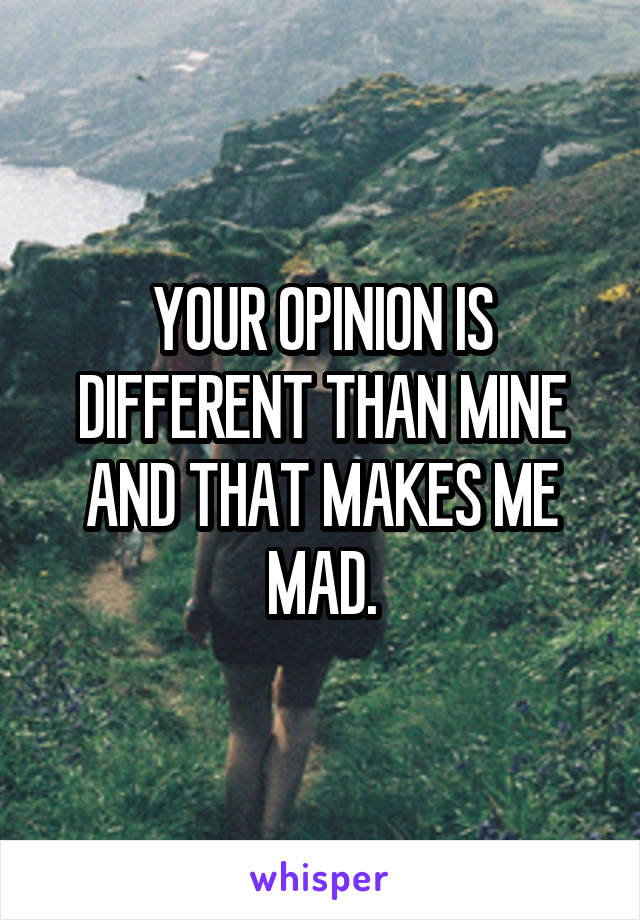 YOUR OPINION IS DIFFERENT THAN MINE AND THAT MAKES ME MAD.