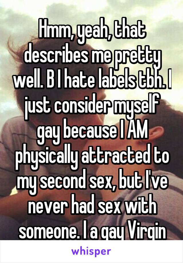 Hmm, yeah, that describes me pretty well. B I hate labels tbh. I just consider myself gay because I AM physically attracted to my second sex, but I've never had sex with someone. I a gay Virgin