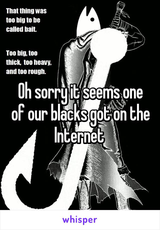 Oh sorry it seems one of our blacks got on the Internet 