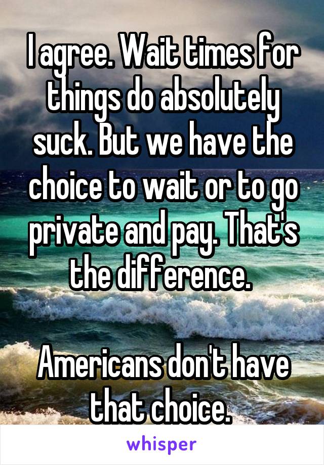 I agree. Wait times for things do absolutely suck. But we have the choice to wait or to go private and pay. That's the difference. 

Americans don't have that choice. 