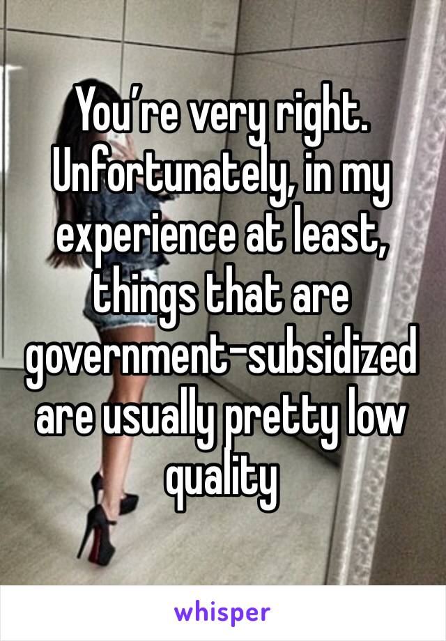 You’re very right. Unfortunately, in my experience at least, things that are government-subsidized are usually pretty low quality