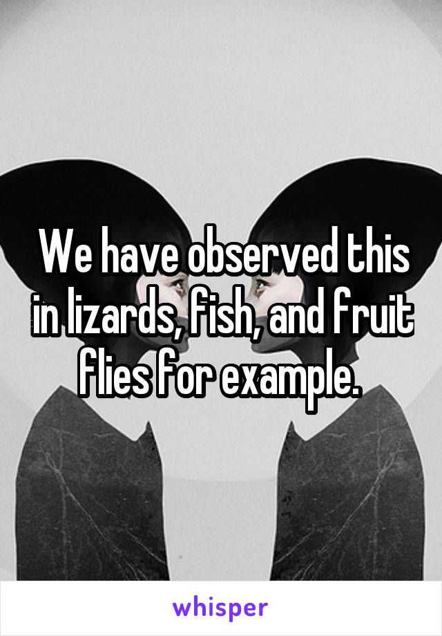 We have observed this in lizards, fish, and fruit flies for example. 