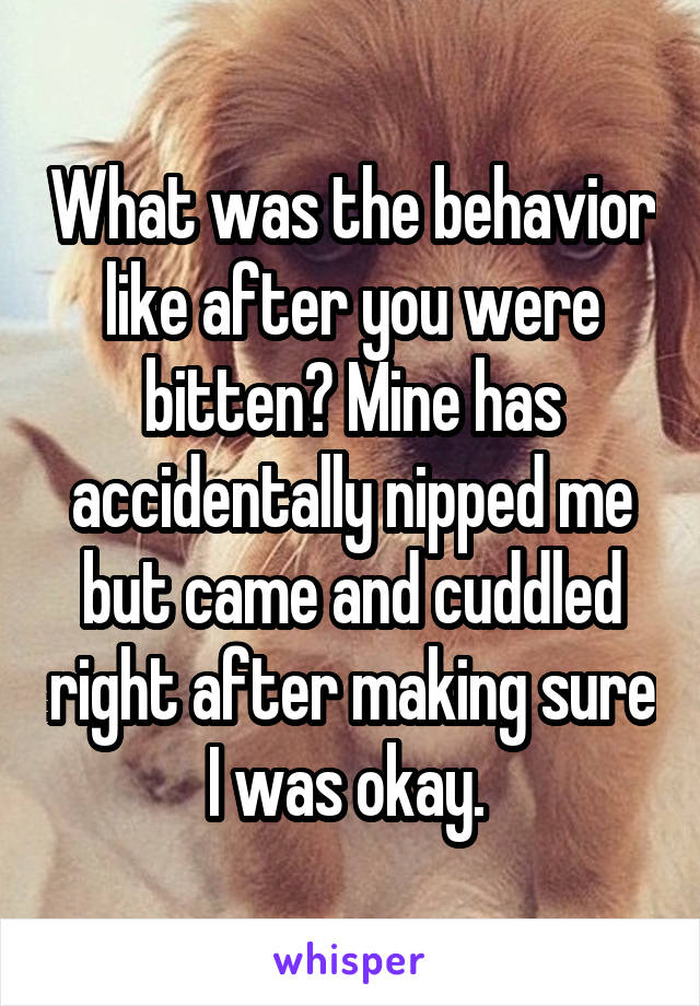 What was the behavior like after you were bitten? Mine has accidentally nipped me but came and cuddled right after making sure I was okay. 