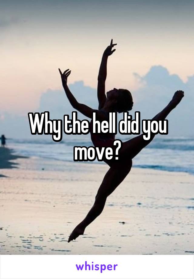 Why the hell did you move?