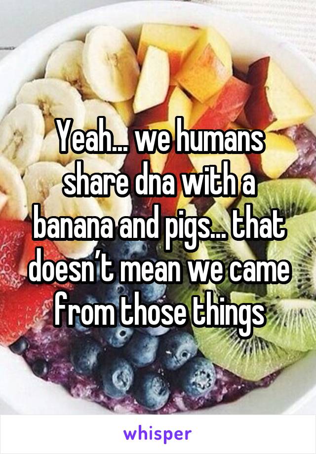 Yeah... we humans share dna with a banana and pigs... that doesn’t mean we came from those things