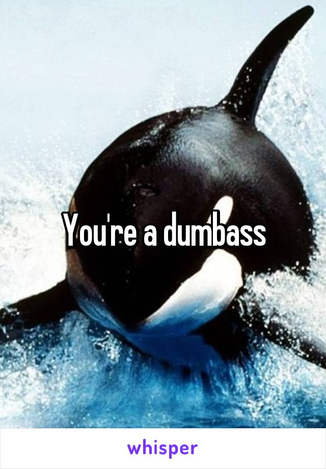 You're a dumbass