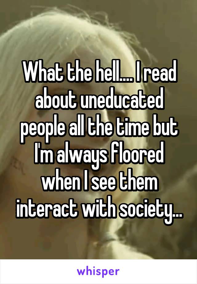 What the hell.... I read about uneducated people all the time but I'm always floored when I see them interact with society...