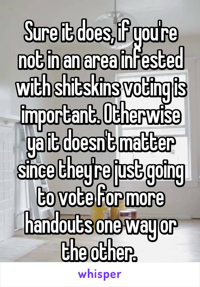 Sure it does, if you're not in an area infested with shitskins voting is important. Otherwise ya it doesn't matter since they're just going to vote for more handouts one way or the other. 