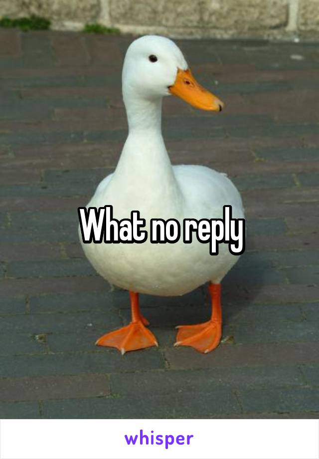 What no reply