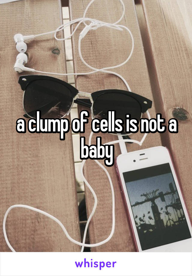 a clump of cells is not a baby