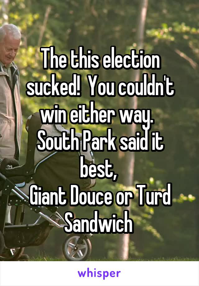 The this election sucked!  You couldn't win either way.  
South Park said it best, 
Giant Douce or Turd Sandwich 