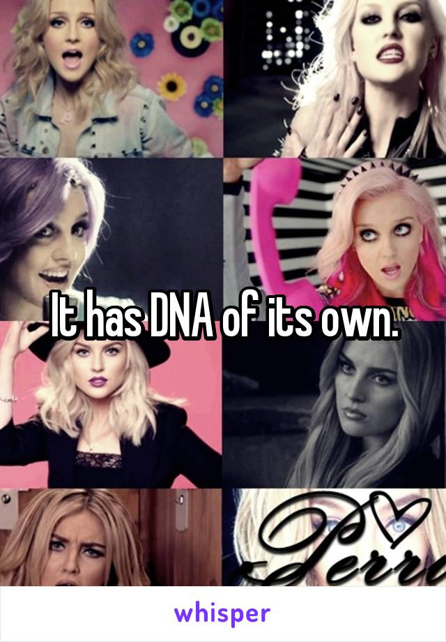 It has DNA of its own.