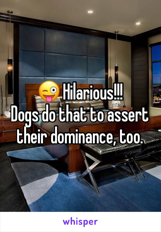 😜 Hilarious!!!
Dogs do that to assert their dominance, too.