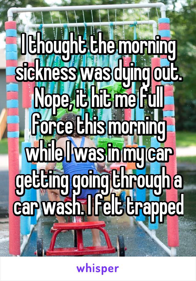 I thought the morning sickness was dying out. Nope, it hit me full force this morning while I was in my car getting going through a car wash. I felt trapped 