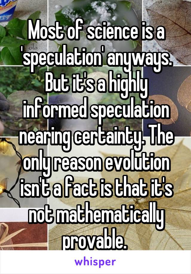 Most of science is a 'speculation' anyways. But it's a highly informed speculation nearing certainty. The only reason evolution isn't a fact is that it's not mathematically provable. 