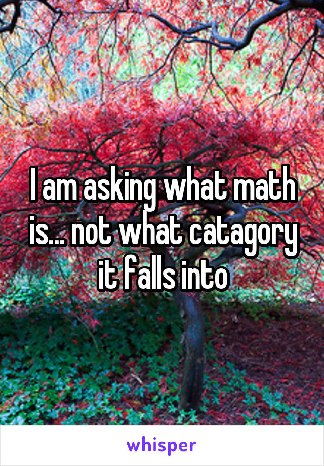 I am asking what math is... not what catagory it falls into