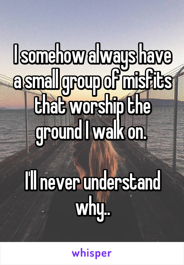 I somehow always have a small group of misfits that worship the ground I walk on. 

I'll never understand why..