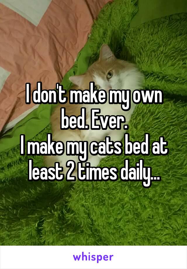 I don't make my own bed. Ever.
I make my cats bed at least 2 times daily...